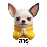 802377595
