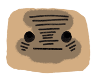 802399981