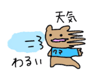 802399989