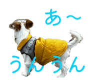 802401138
