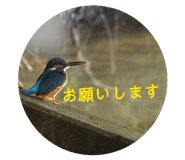 802415566