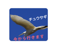 802415569