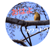 802415584