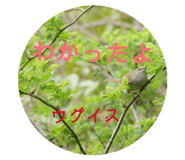 802415585
