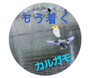 802415591