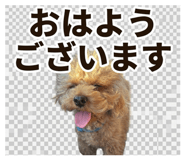 802430497