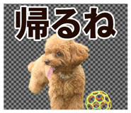 802430504