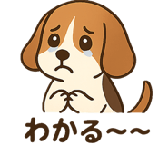 802445930