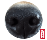 802454847