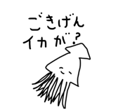 802456030