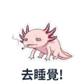 802502145