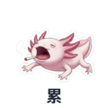 802502153