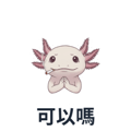 802502154