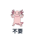 802502155