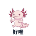 802502156