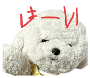 802506213