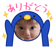 802565534