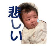 802613751