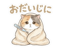 802618850