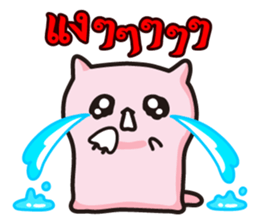 8026294