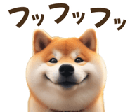 802635258