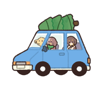 ลายที่ 9