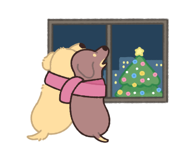 ลายที่ 13