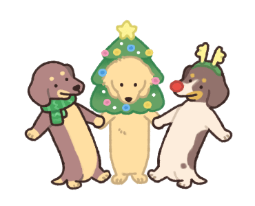 ลายที่ 17