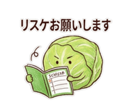 802636890