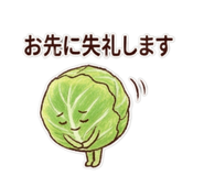 802636893