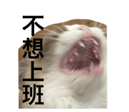 802650433