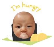 802652837