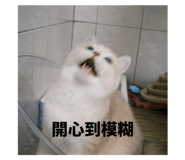 802681028