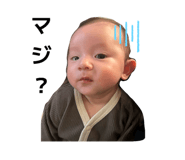 802688601