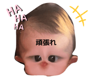 802688609