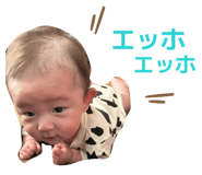 802688614