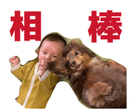 802688624