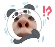 802699785
