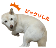 802705055