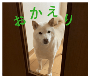 802705061
