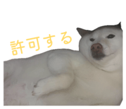 802705063