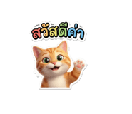 802708911