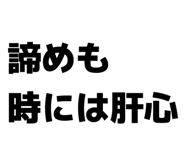 802724950