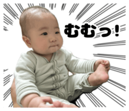 802766673