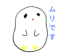 80280431