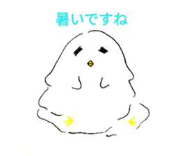 80280458