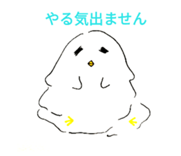 80280459