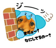 802826823