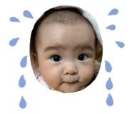 802829407