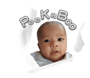 802835505